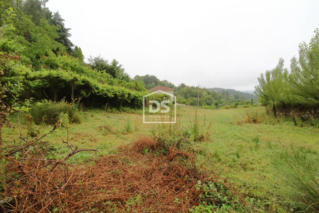 Terreno para Venda em Souselo Foto 10