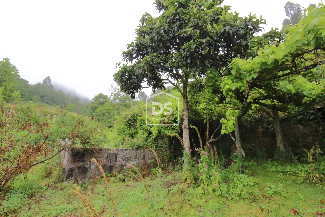 Terreno para Venda em Souselo Foto 7
