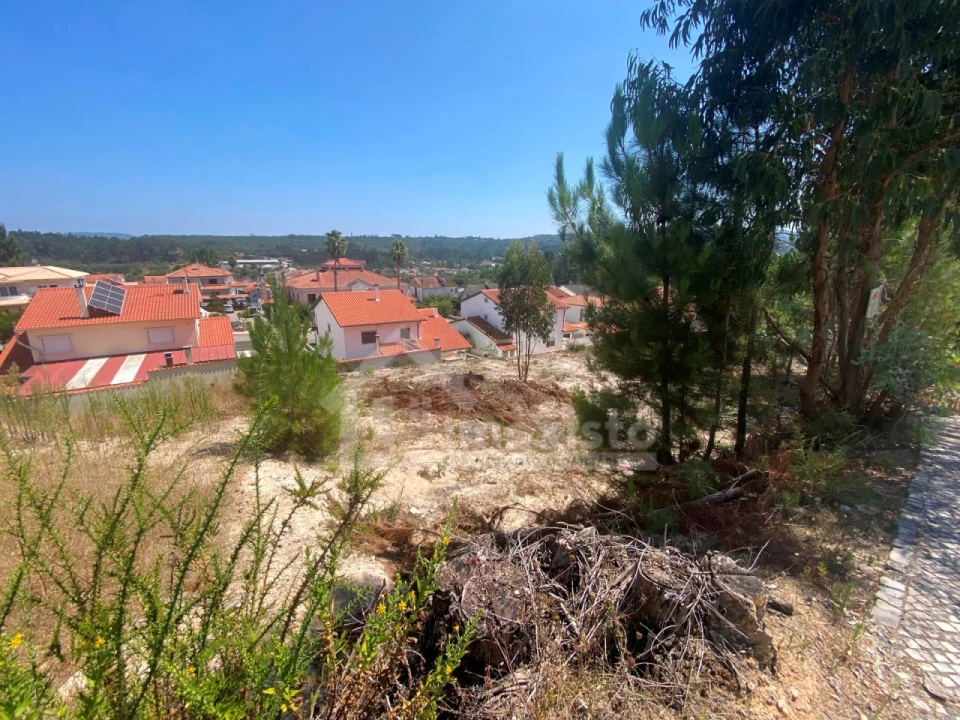 Terreno para Venda em Ansião Foto 10