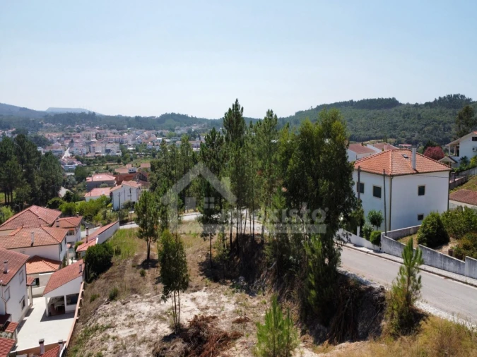 Terreno para Venda em Ansião Foto 3