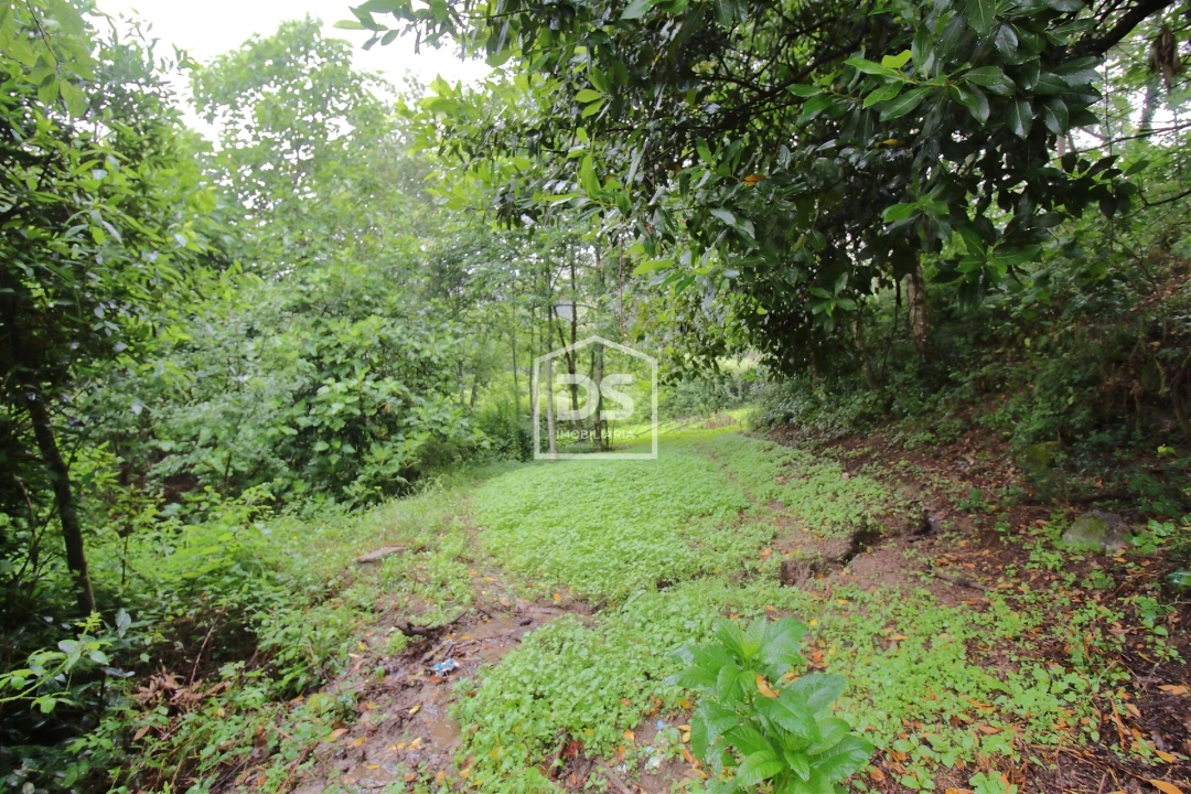 Terreno para Venda em Souselo Foto 10