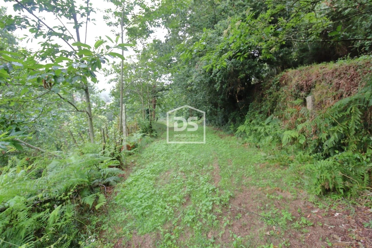 Terreno para Venda em Souselo Foto 6