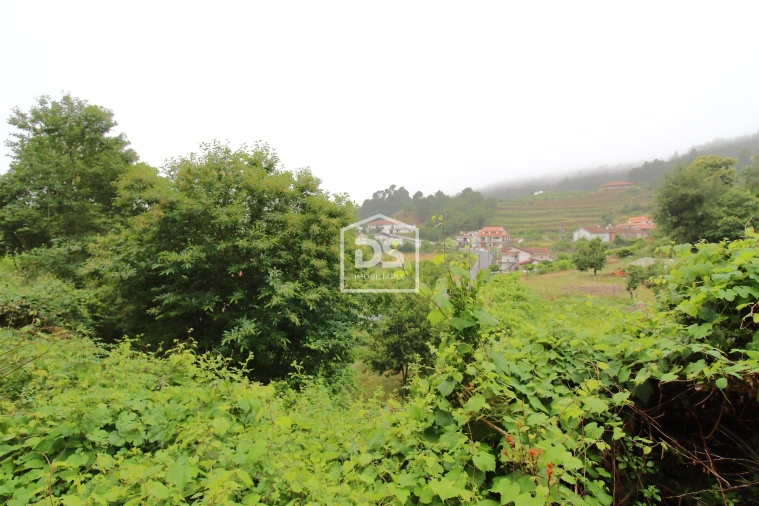 Terreno para Venda em Souselo Foto 12