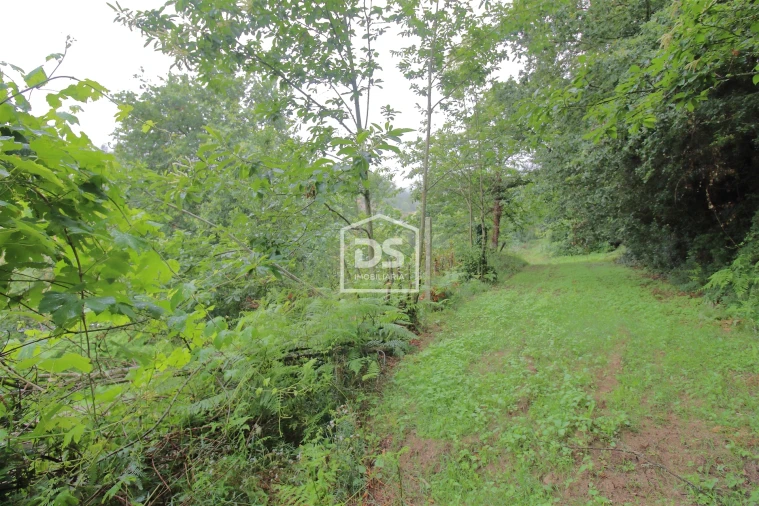 Terreno para Venda em Souselo Foto 7
