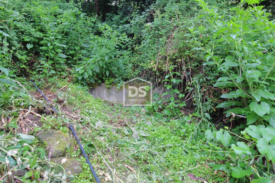 Terreno para Venda em Souselo Foto 9