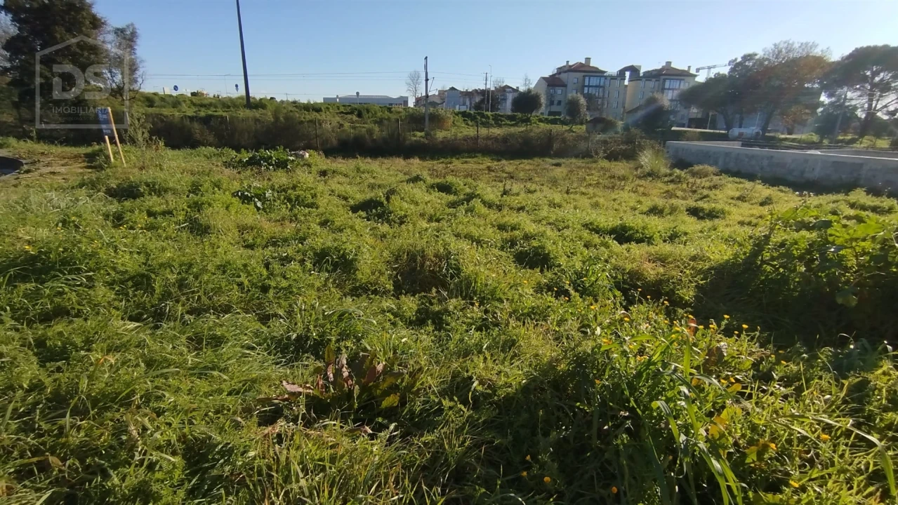 Terreno para Venda em Currelos, Papízios e Sobral Foto 5