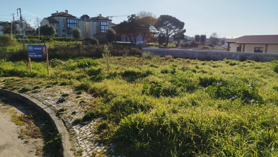 Terreno para Venda em Currelos, Papízios e Sobral Foto 3
