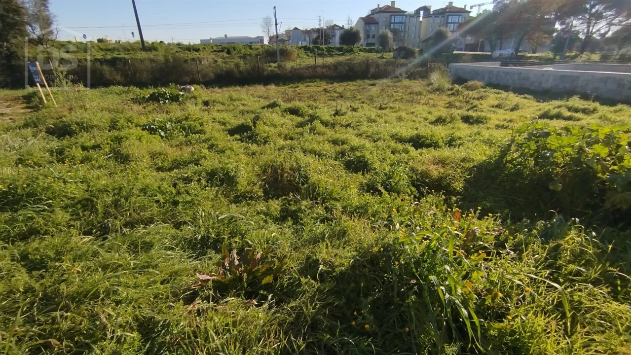 Terreno para Venda em Currelos, Papízios e Sobral Foto 6
