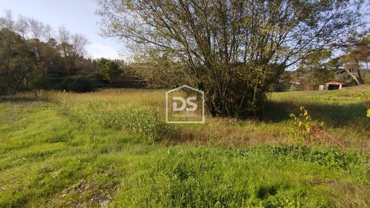 Terreno para Venda em Oliveira do Conde Foto 8