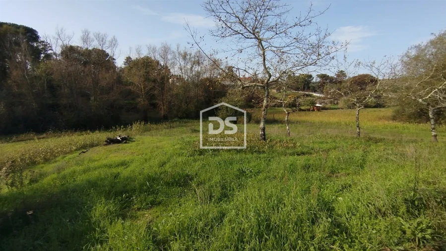 Terreno para Venda em Oliveira do Conde Foto 7