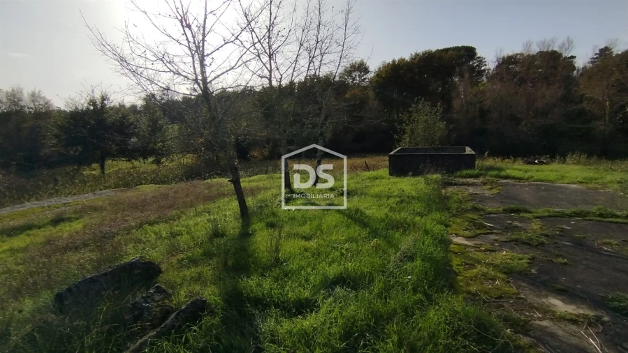 Terreno para Venda em Oliveira do Conde Foto 3