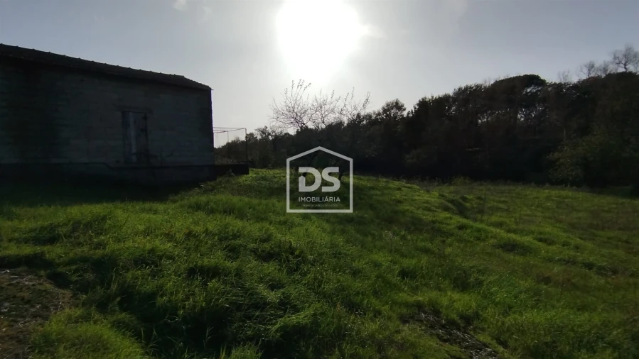 Terreno para Venda em Oliveira do Conde Foto 11