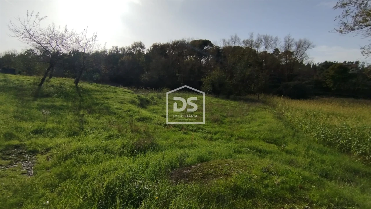 Terreno para Venda em Oliveira do Conde Foto 12