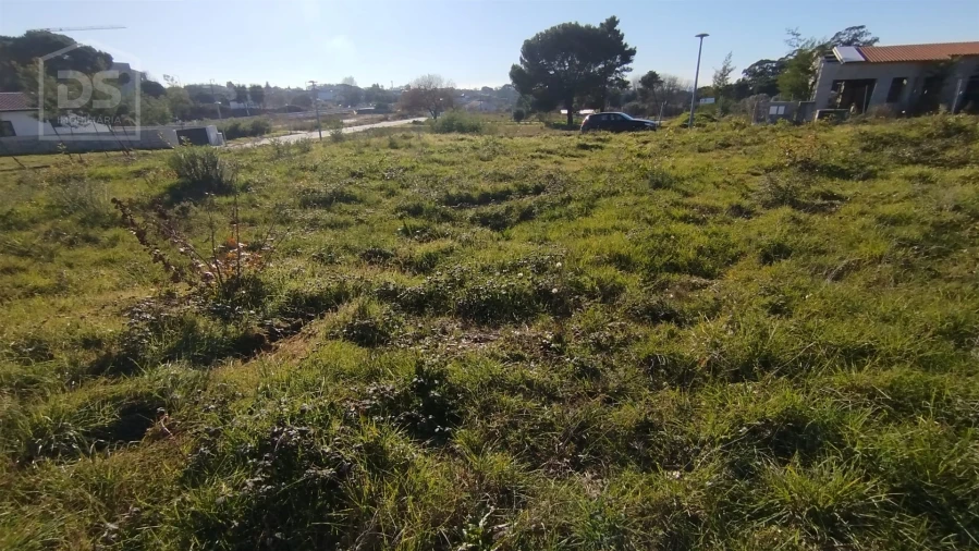 Terreno para Venda em Currelos, Papízios e Sobral Foto 6