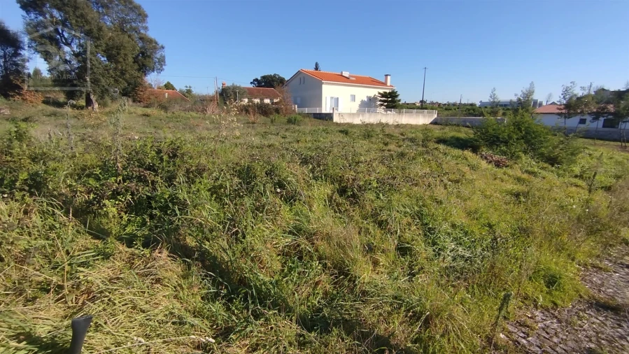 Terreno para Venda em Currelos, Papízios e Sobral Foto 3