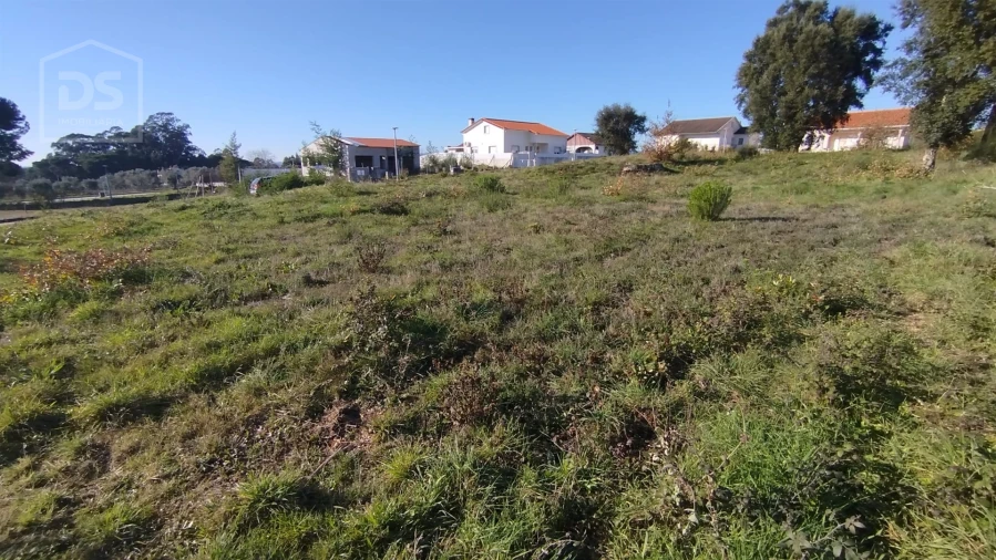 Terreno para Venda em Currelos, Papízios e Sobral Foto 5