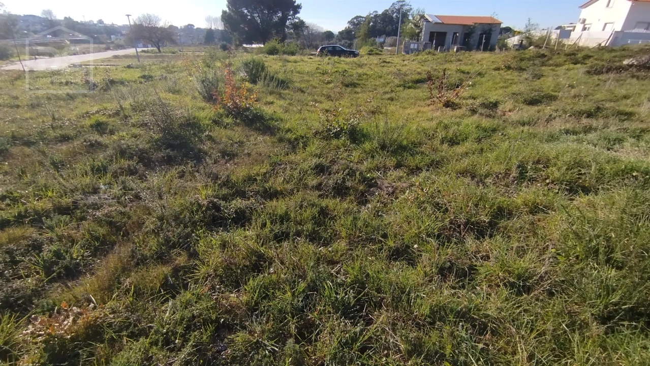 Terreno para Venda em Currelos, Papízios e Sobral Foto 4