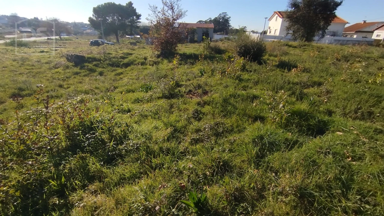 Terreno para Venda em Currelos, Papízios e Sobral Foto 5