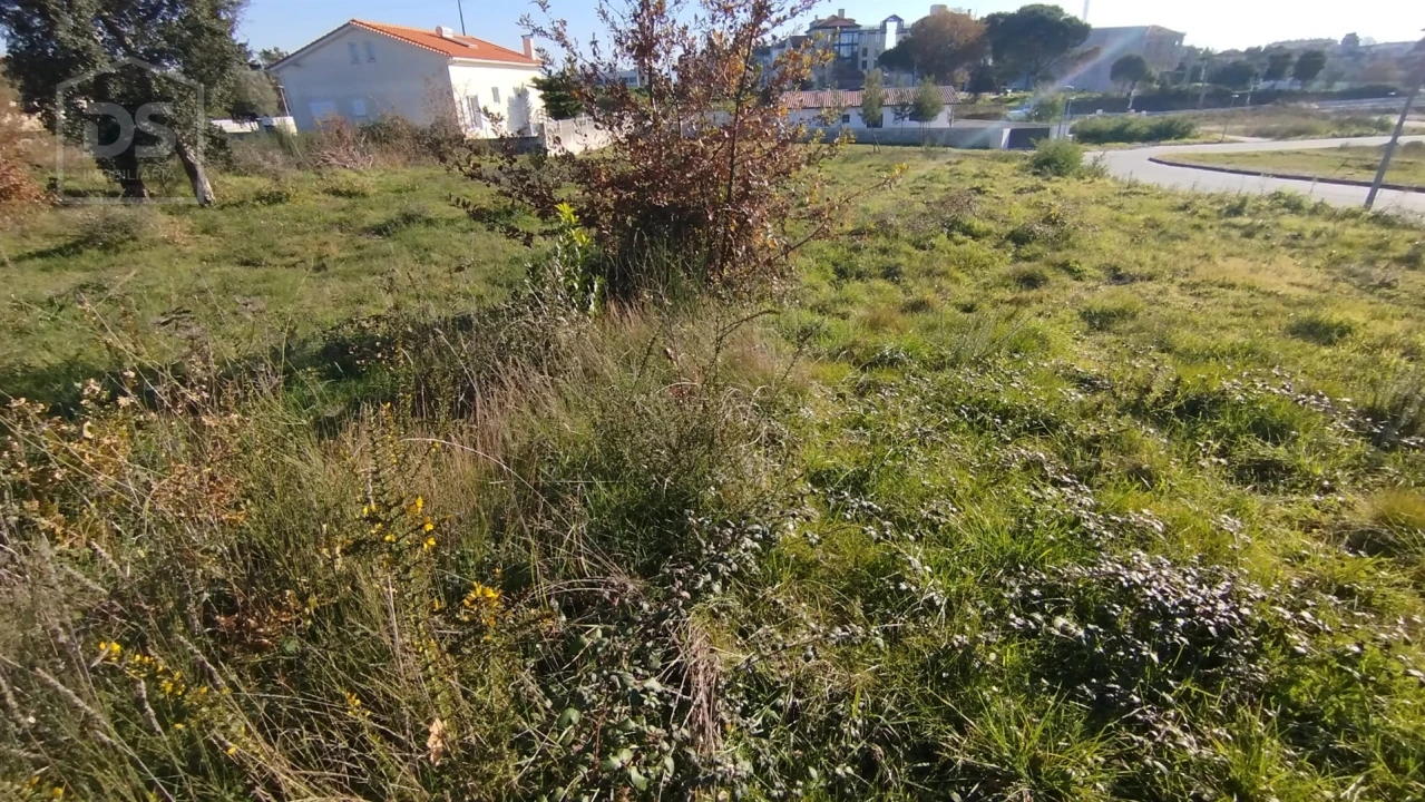 Terreno para Venda em Currelos, Papízios e Sobral Foto 6
