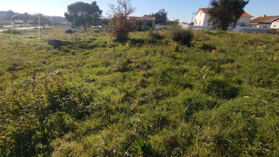 Terreno para Venda em Currelos, Papízios e Sobral Foto 5