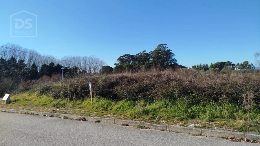 Terreno para Venda em Currelos, Papízios e Sobral Foto 5