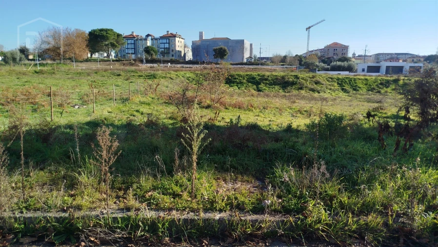 Terreno para Venda em Currelos, Papízios e Sobral Foto 5