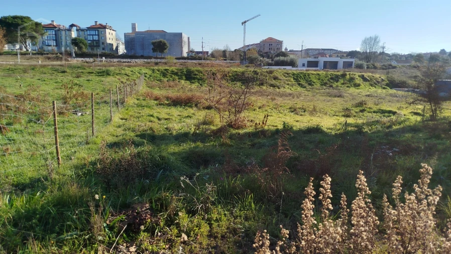 Terreno para Venda em Currelos, Papízios e Sobral Foto 6