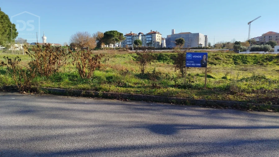 Terreno para Venda em Currelos, Papízios e Sobral Foto 2