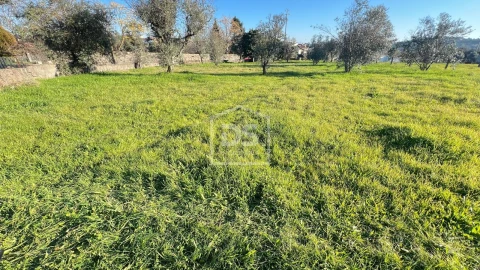 Terreno para Venda em Faíl e Vila Chã de Sá