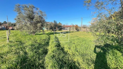 Terreno para Venda em Faíl e Vila Chã de Sá