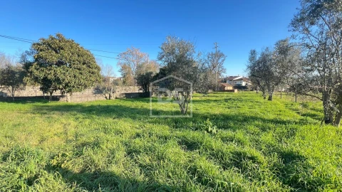 Terreno para Venda em Faíl e Vila Chã de Sá