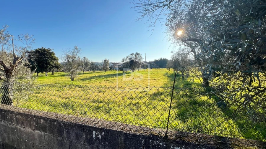 Terreno para Venda em Faíl e Vila Chã de Sá Foto 7