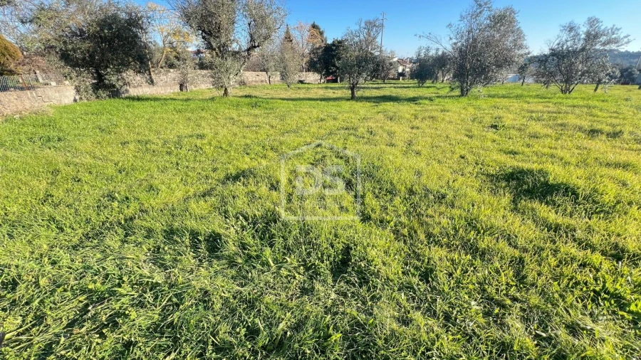 Terreno para Venda em Faíl e Vila Chã de Sá Foto 4
