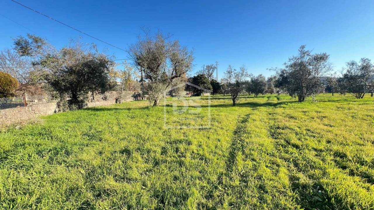 Terreno para Venda em Faíl e Vila Chã de Sá Foto 1
