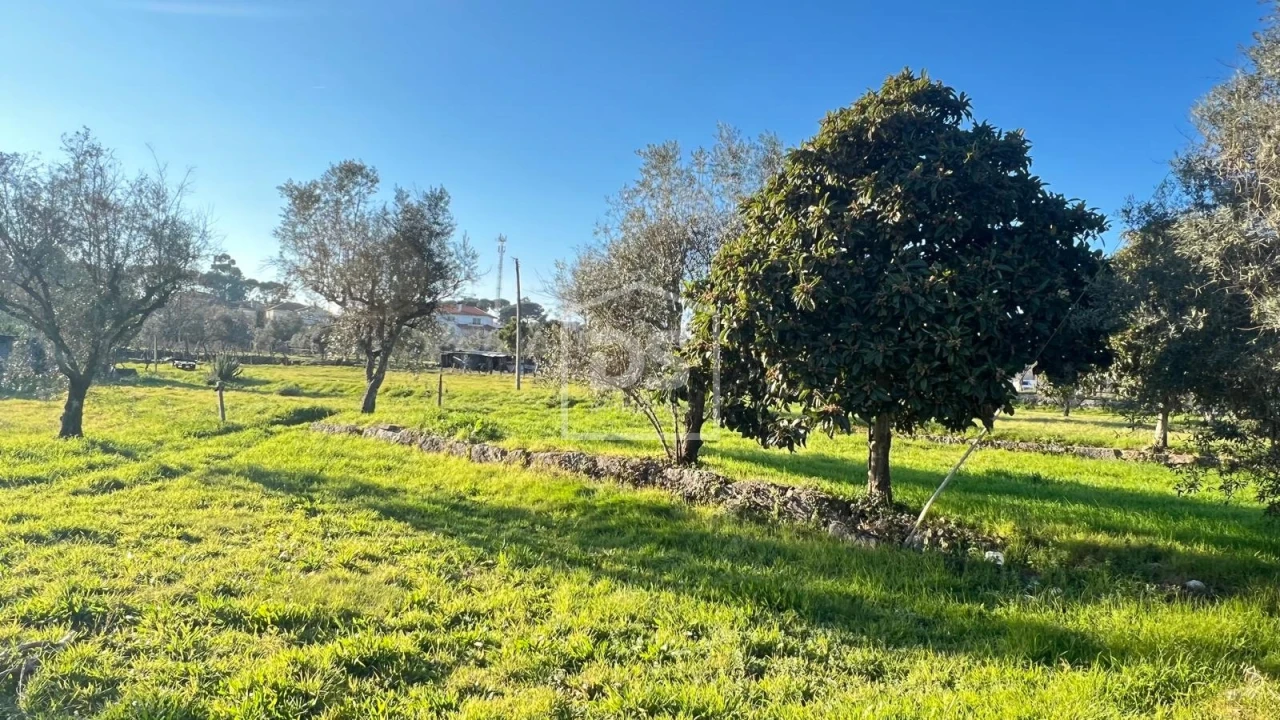 Terreno para Venda em Faíl e Vila Chã de Sá Foto 5