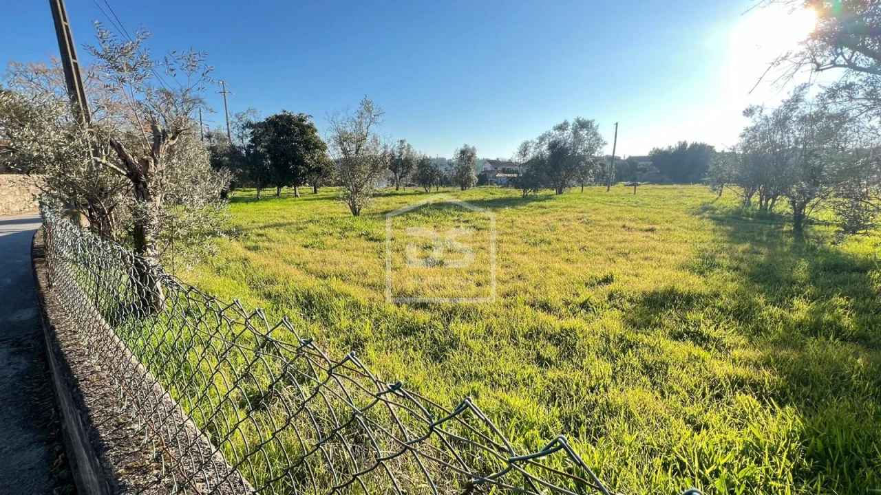 Terreno para Venda em Faíl e Vila Chã de Sá Foto 6