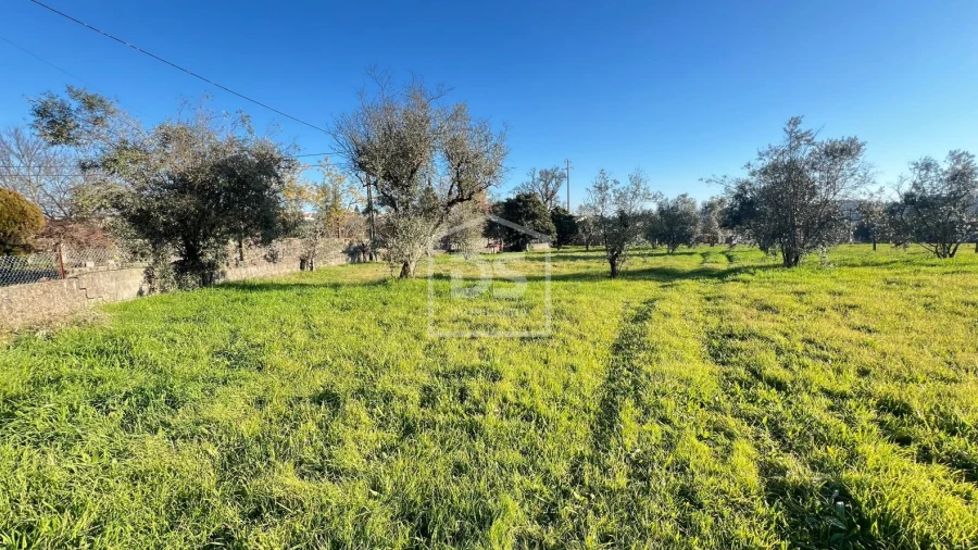 Terreno para Venda em Faíl e Vila Chã de Sá