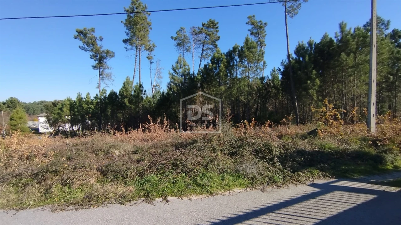 Terreno para Venda em Ribafeita Foto 10