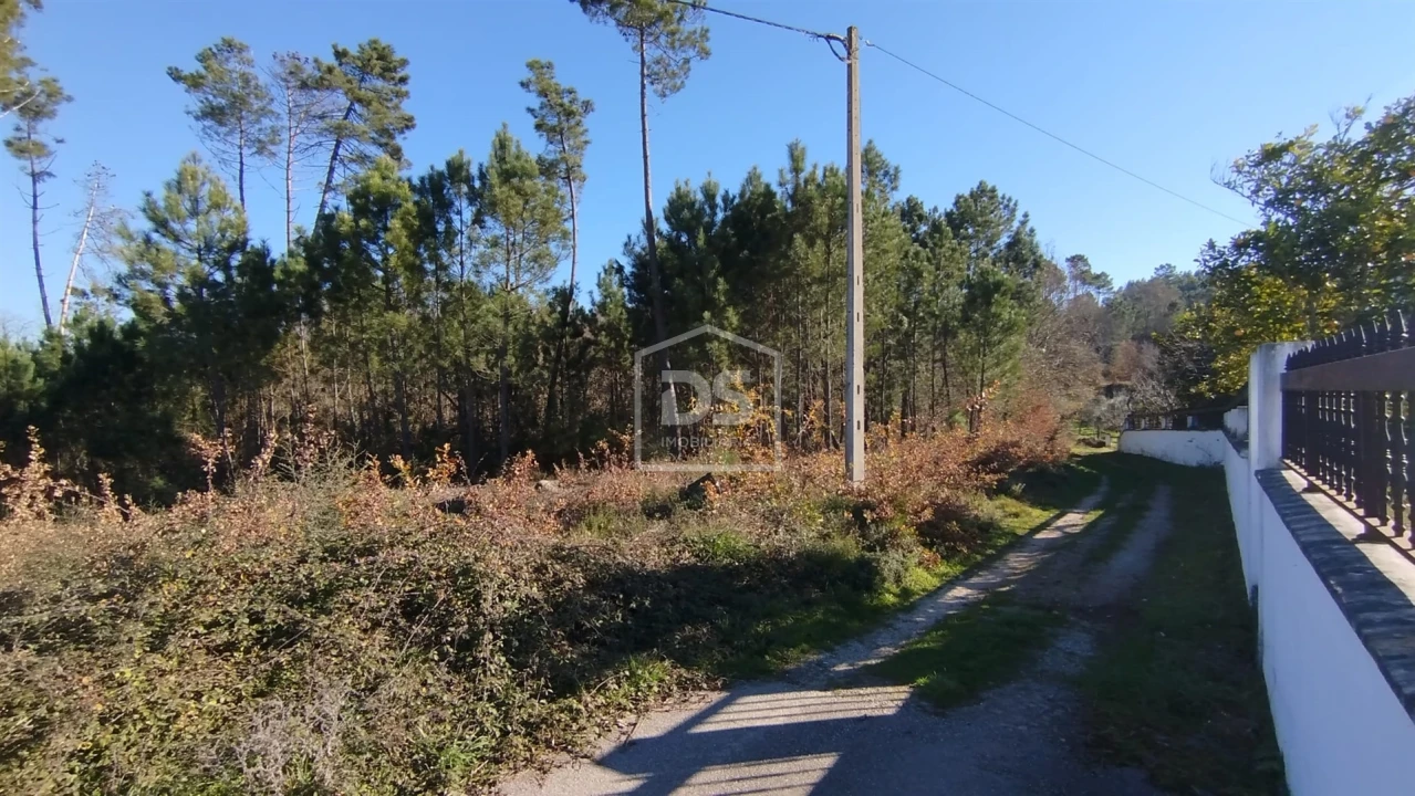 Terreno para Venda em Ribafeita Foto 3