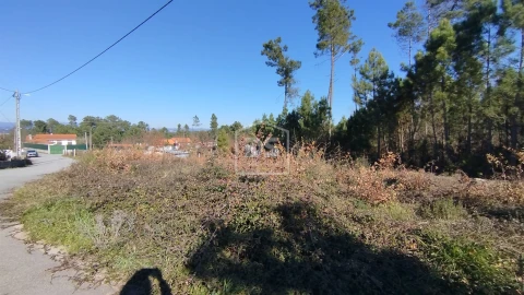 Terreno para Venda em Ribafeita