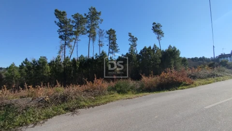 Terreno para Venda em Ribafeita