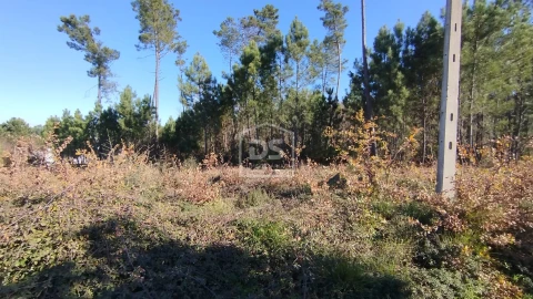 Terreno para Venda em Ribafeita