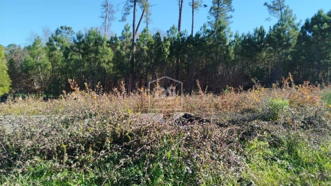 Terreno para Venda em Ribafeita
