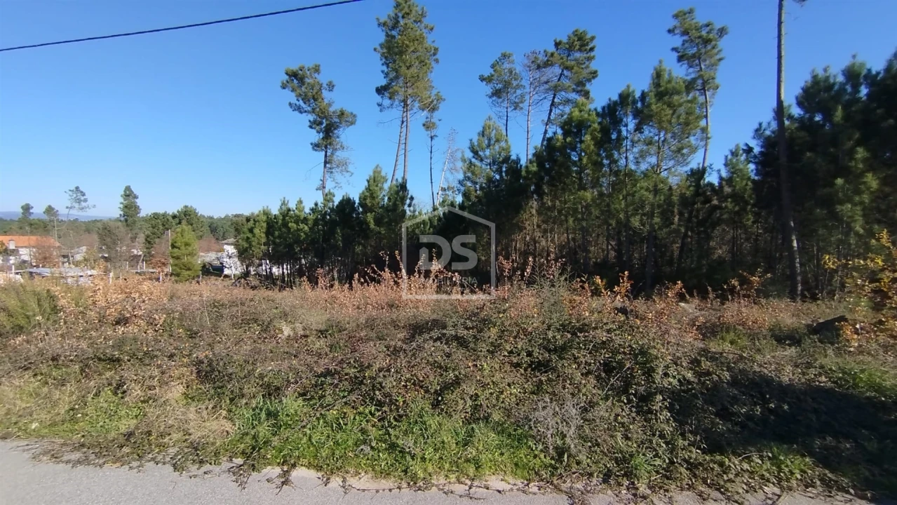 Terreno para Venda em Ribafeita Foto 4