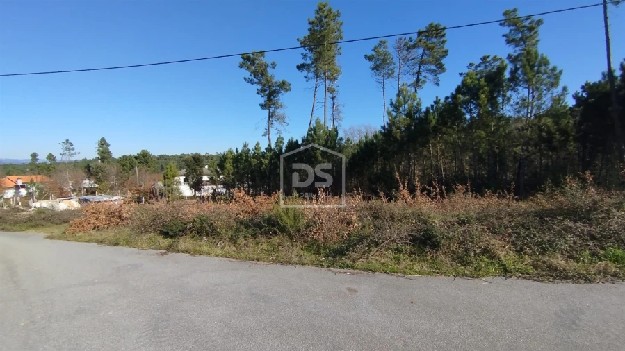 Terreno para Venda em Ribafeita Foto 8