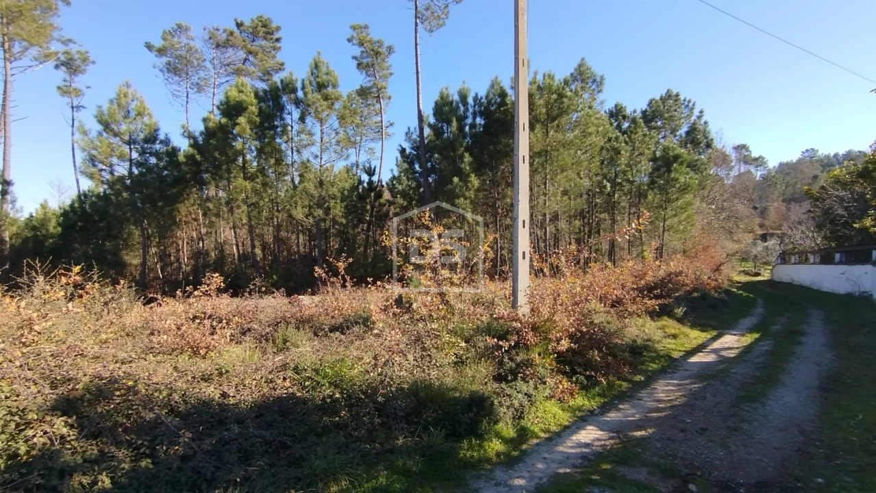 Terreno para Venda em Ribafeita Foto 7