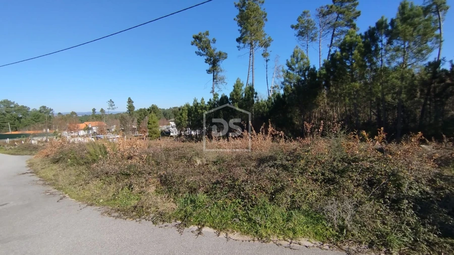 Terreno para Venda em Ribafeita