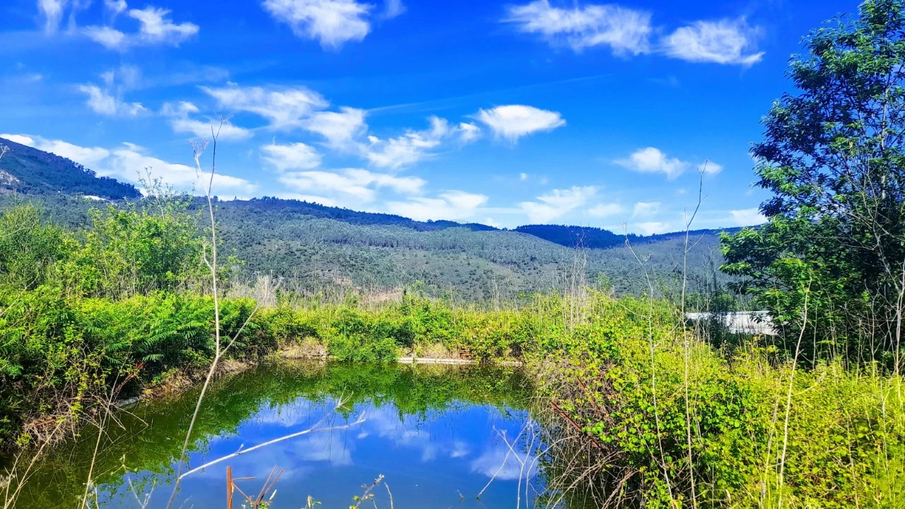 Quinta para Venda em Calheiros Foto 6