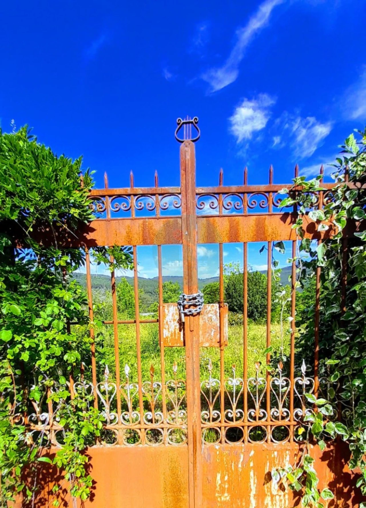 Quinta para Venda em Calheiros Foto 12