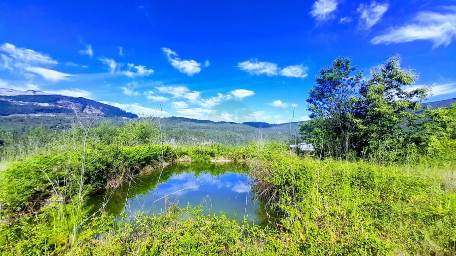 Quinta para Venda em Calheiros Foto 5